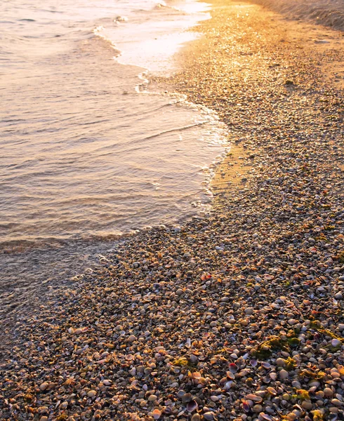 Sea sunset — Stock Photo, Image