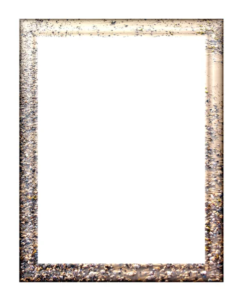 Frame with seashells — Stock Photo, Image