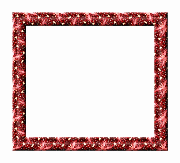 Photo Frame — Stock Photo, Image