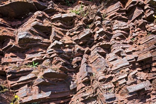 Fragment of shale rock — Stock Photo, Image