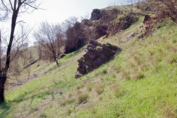 Cabeza de piedra — Foto de Stock