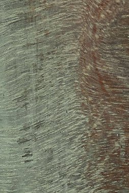 Soyutlama. Gradyan ahşap dokusu. Geçmişi. Duvar Kağıdı.