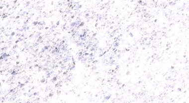 Soyut grunge. Dekoratif duvarın açık arkaplanı. Metnin için alanı olan pürüzlü biçimlendirilmiş pankart dokusu.