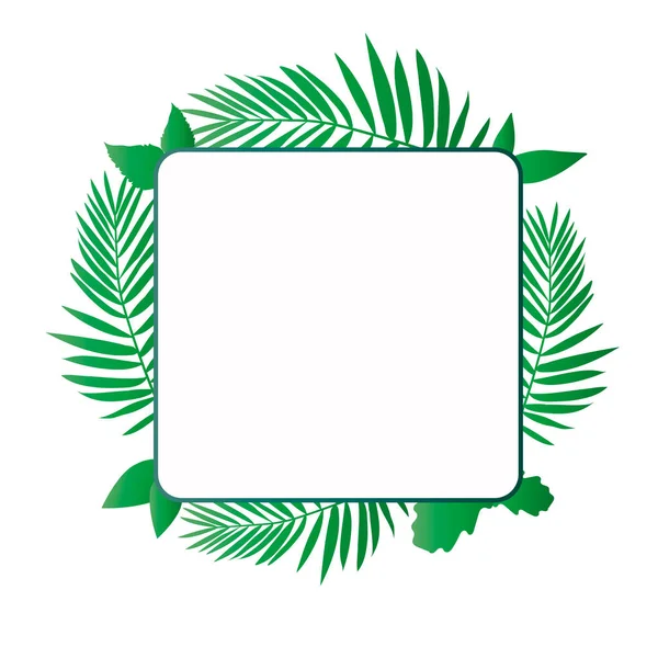 Borító Felirat Helye Képeslap Vector Bright Green Palm Leaves Square — Stock Vector