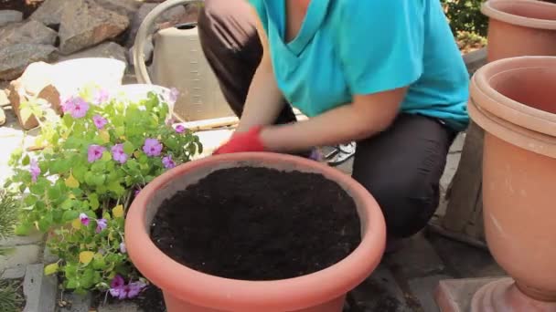 Yaz Bahçesinde Güzel Bir Kız Besleyici Toprakla Dolu Bir Tencereye — Stok video