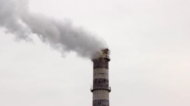工業地帯にある大きなパイプ ボイラー室の仕事だ 濃い白い煙が空を横切って注ぐ 環境汚染 — ストック動画
