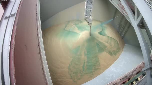 Carga de grano de trigo en un barco. Colorear grano con pintura de alimentos cuando se carga en un barco para su transporte a países africanos — Vídeo de stock