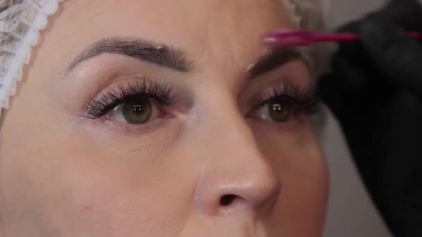 Beauty Salon Master Applies Shampoo Model Eyebrows Brush Clean Them — Stock Video