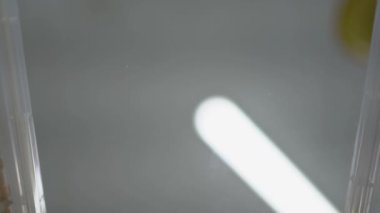 Gıda laboratuvarında, ürünün kalitesini test etmek için şeffaf bir cam masaya bir buğday örneği dökülüyor. Alt görünüm