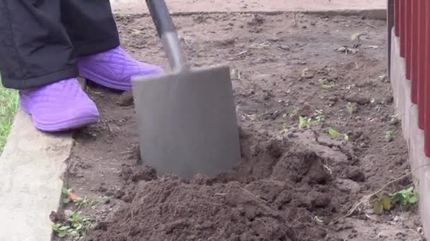 Flicka Hösten Gräver Jorden Med Spade Att Plantera Blommor — Stockvideo