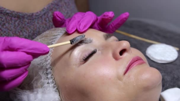 Beauty Salon Master Applies Shampoo Eyebrows Beautiful Model Brush Performing — Stock Video