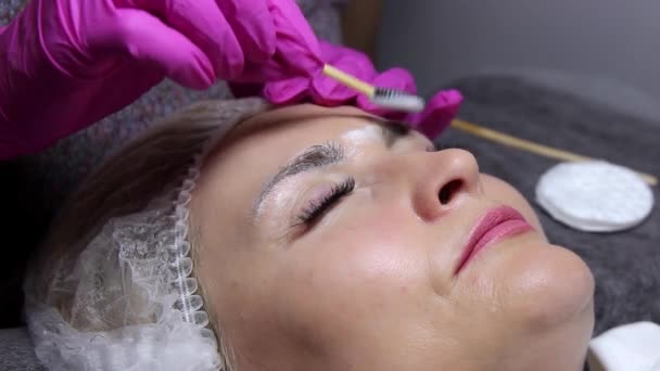 Beauty Salon Master Applies Shampoo Eyebrows Beautiful Model Brush Performing — 비디오