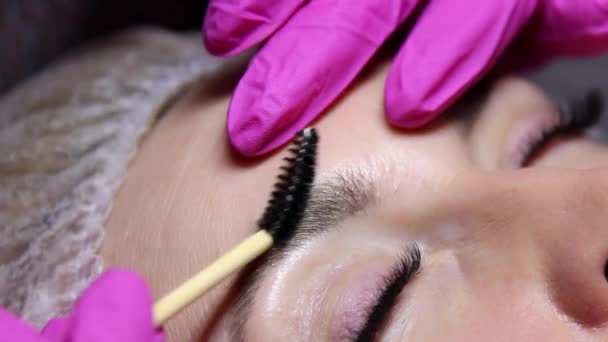 Beauty Salon Master Applies Brush Liquid Wax Eyebrows Beautiful Model — Stock Video