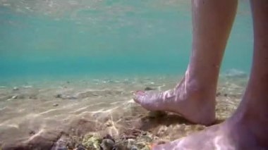 Yaz tatili. Mısır. Kızıl Deniz. Deniz balığı cerrahı Acanthurus Sohal namı diğer Sohal sığ sularda bir turistin güzel ayak tırnaklarıyla oynuyor. Su altı çekimleri