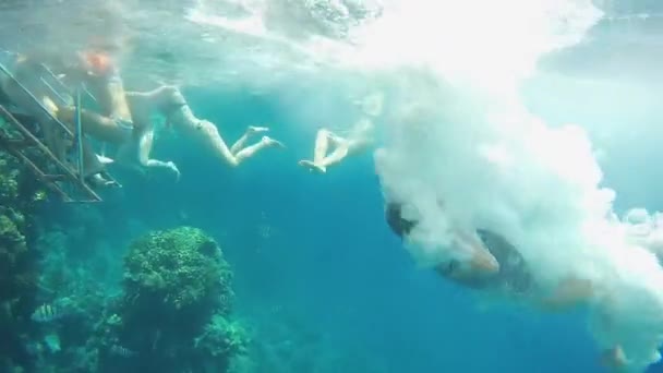 Єгипет Червоне Море Підводні Відео Невпізнавані Люди Плавають Пірнають Море — стокове відео