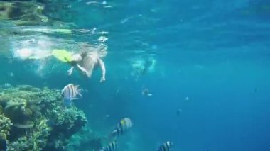 Yüzgeçli dalgıçlar açık denizin yüzeyinde yüzerler. Suyun altından arka görüş. GoPro 'da. Yüksek kaliteli FullHD görüntüler