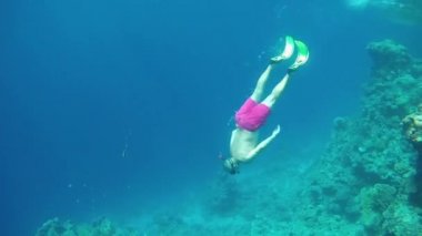 Denizde bir dalgıç yüzgeçler ve temiz suda suyun altında bir maske ile derinlere iner. GoPro 'da. Yüksek kaliteli FullHD görüntüler