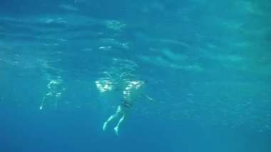 Mısır 'da Kızıl Deniz' in yüzeyinde yüzen insanların sualtı çekimleri. GoPro 'da. Yüksek kaliteli FullHD görüntüler