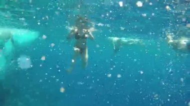Mısır 'da Kızıl Deniz' in yüzeyinde yüzen insanların sualtı çekimleri. GoPro 'da. Yüksek kaliteli FullHD görüntüler