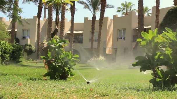 Bevattningsutrustning. Sprinkler sprutning droppar vatten på det gröna gräset i trädgården — Stockvideo