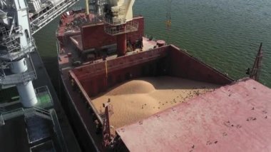 Taşıyıcı yükleyici kullanarak bir kargo gemisine tahıl yüklüyorlar.