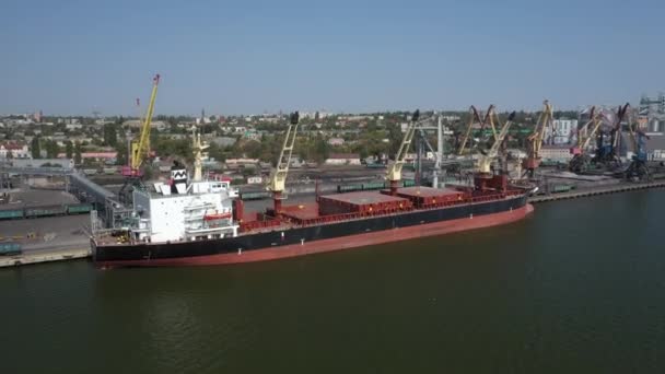 Lasta säd på ett lastfartyg för sjötransport med en transportbandsmaskin. Fartyget är lastat med vete i hamnen. Veteexport. Sjöexport. Jordbruk — Stockvideo