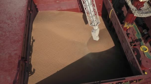 Loading grain onto a cargo ship for sea transport using a conveyor loader — Vídeo de Stock