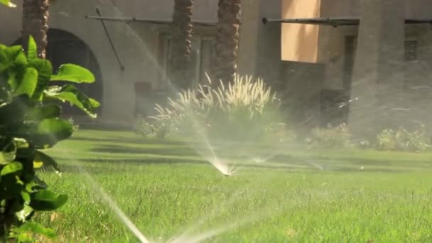 Güneşli Bir Yaz Gününde Çimleri Sularız Sulama Ekipmanı Bahçedeki Yeşil — Stok video