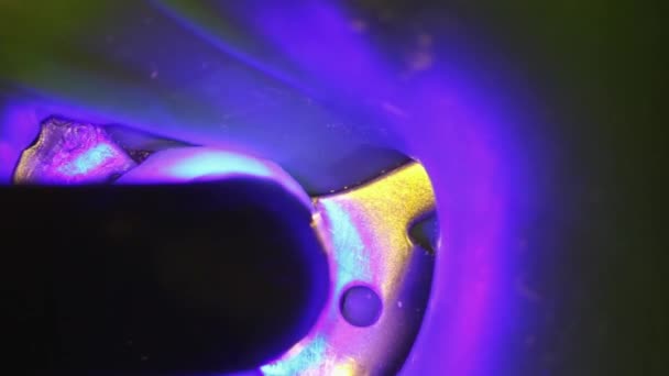 Zahnmedizin. Aufnahmen mit dem Mikroskop. Zahnbehandlung. Mit einer Photopolymerlampe wird die Füllung am Zahn gehärtet. leuchtet in blau. Nahaufnahme