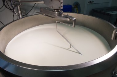 Cheesemaker-geleneksel peynir yapımı bir süthane,, 