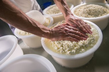 Cheesemaker süt peynir yapmak için karıştırma pota kaynar