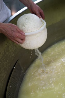 Cheesemaker süt peynir yapmak için karıştırma pota kaynar