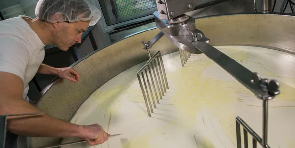 Cheesemaker -Traditional cheese making at a creamery, — Stock Photo, Image