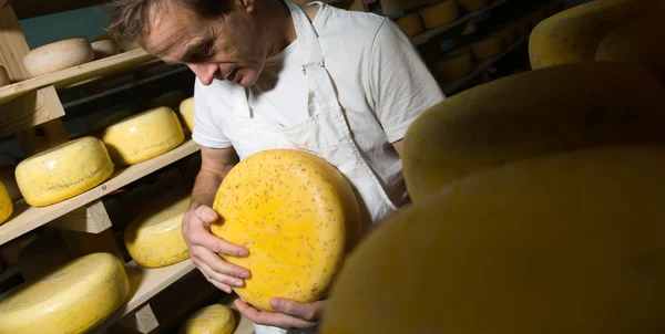 Fabricante de quesos limpiando quesos en su taller — Foto de Stock