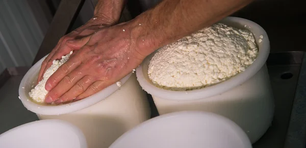 煮牛奶入搅拌锅制作奶酪的奶酪 — 图库照片
