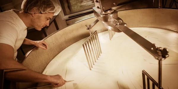 Cheesemaker-geleneksel peynir yapımı bir süthane,, 