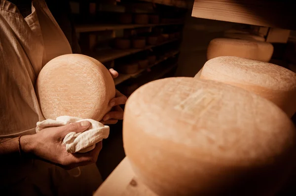 Formaggio pulizia formaggi nel suo laboratorio — Foto Stock