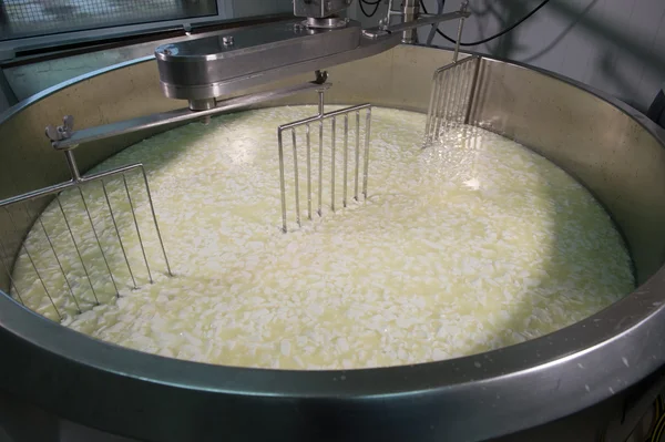 Cheesemaker-hagyományos sajtkészítés: egy tejcsarnok, — Stock Fotó