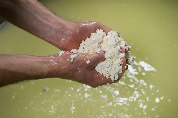 Сирники кип'ятять молоко в каструлю для приготування сиру — стокове фото