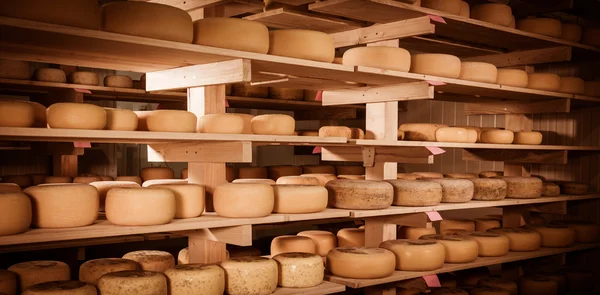 Affinamento del formaggio sugli scaffali — Foto Stock