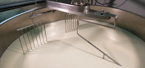 Cheesemaker-geleneksel peynir yapımı bir süthane,,