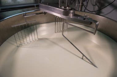 Cheesemaker-geleneksel peynir yapımı bir süthane,,
