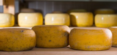 Raflarda rafine peynir