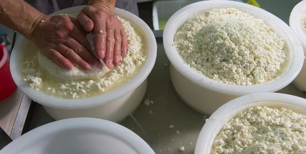 Сыроделы кипятят молоко в смесительный горшок для приготовления сыра — стоковое фото