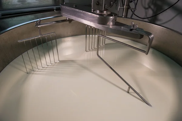 Cheesemaker-geleneksel peynir yapımı bir süthane,,