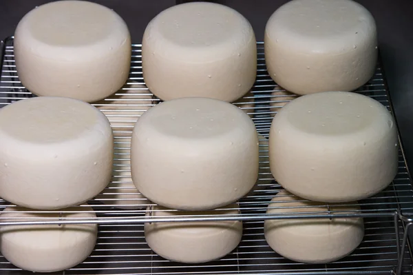 Свежий сыр на полке у ремесленника — стоковое фото
