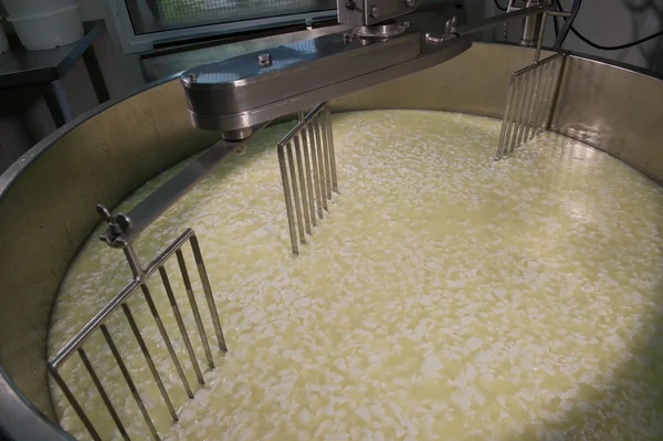 Cheesemaker -Traditional cheese making at a creamery, — Stock Photo, Image