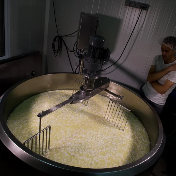 Cheesemaker-Traditional cheese making at a creamery , — стоковое фото