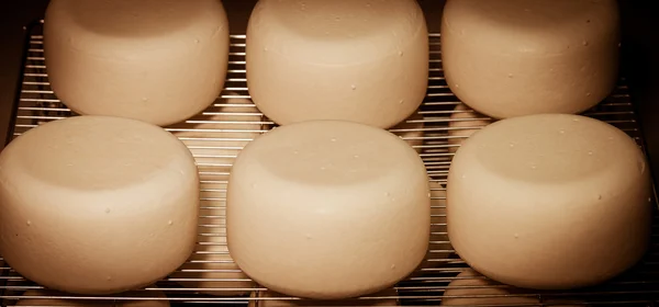 Queijo fresco na prateleira em um queijo artesanal — Fotografia de Stock