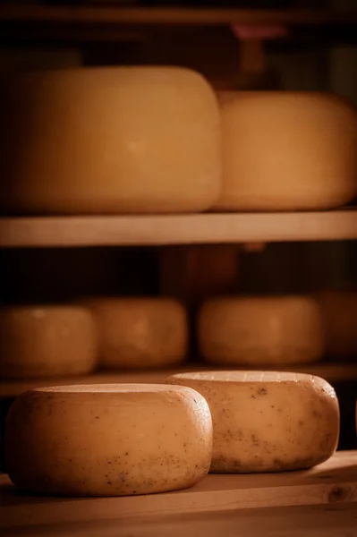 Refinación de quesos en estantes — Foto de Stock